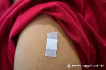 Neue Umfrage: Weniger Skeptiker bei Corona-Impfungen für Kinder - Landkreis Stade - Tageblatt-online