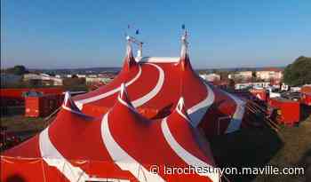 Saint-Hilaire-de-Riez. Le cirque Zavatta s'installe du 27 juillet au 5 août - maville.com