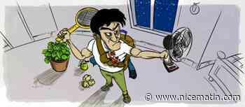 Vos "techniques" pour lutter contre les moustiques cet été