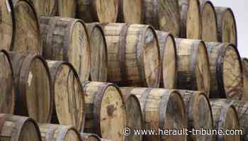 Frontignan : les expositions de l'été - Hérault Tribune - Hérault-Tribune