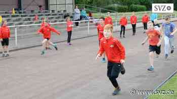 Leichtathletik Ludwigslust-Parchim: Vereine bieten Schnuppertraining für junge Sportler an | svz.de - svz – Schweriner Volkszeitung