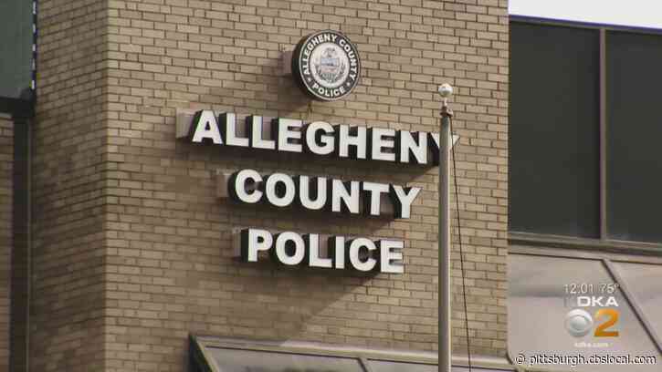 Police Investigating Death Of Woman Found In Stowe Twp.