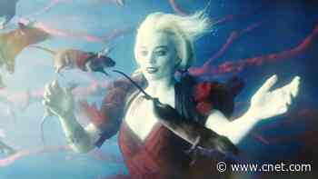 What's new to stream for August 2021 video     - CNET