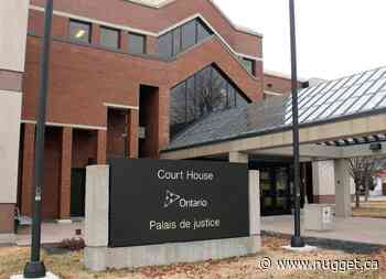 North Bay resident sentenced to time served for multiple incidents - The North Bay Nugget