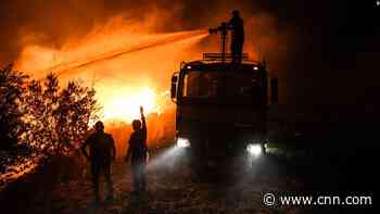 'The animals are on fire,' say devastated farmers as wildfires sweep Turkey