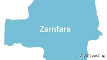 Zamfara Police refutes kidnap of 60 passengers rumour - Daily Post Nigeria