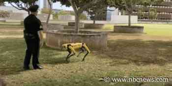 In Hawaii, robot dogs join the police force