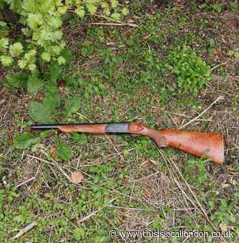 Police find rifle hidden amongst bushes in south east London