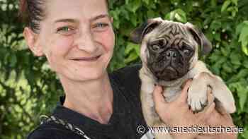 Starnberg: Lockdown-Hunde landen im Tierheim - Süddeutsche Zeitung