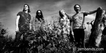 Scott Metzger Departs from Circles Around the Sun - jambands.com