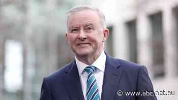 When Anthony Albanese and Scott Morrison face off, it'll be a battle of the grey men - ABC News