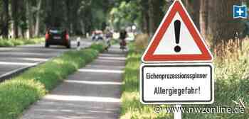 Eichenprozessionsspinner kann zur Gefahr werden: Gefräßige Raupe breitet sich in Garrel weiter aus - Nordwest-Zeitung