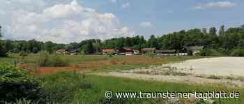 Keine Bebauung in der Daxerau: »Hochwasserereignisse häufen sich« - Traunsteiner Tagblatt