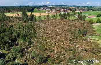 Verwüstung und Entsetzen nach schwerem Unwetter im Kreis Traunstein - Unwetter - Passauer Neue Presse