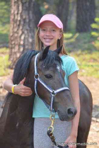 Kyla and Flash: A girl and her Hackney pony capture hearts at Tevis Cup - Gold Country Media