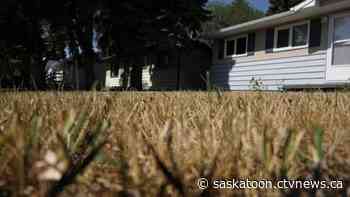 Five tips to keep your lawn green during the heat in Saskatchewan