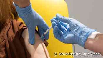 65% of eligible Albertans fully immunized against COVID-19 - Lethbridge News Now