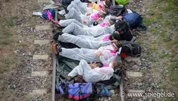 Fracking-Protest in Schleswig-Holstein: Klimaschützer mit Steinen beworfen - DER SPIEGEL