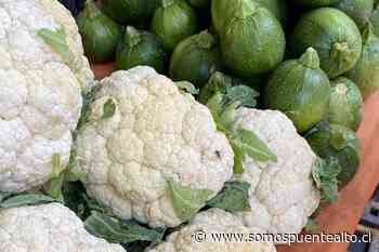 Ferias Libres de Puente Alto vuelven a funcionar en su horario habitual - Somos Puente Alto