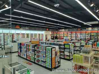 Lota: Preunic abre importante tienda con marcas libres de crueldad animal - Diario Concepción