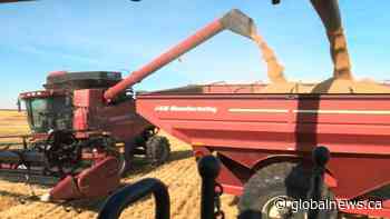Sask. agriculture industry in the spotlight on Food Day Canada