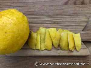 Buccia di limone in cucina, come utilizzare le scorze di limone nelle tue ricette - Verde Azzurro - Notizie - Verde Azzurro Notizie
