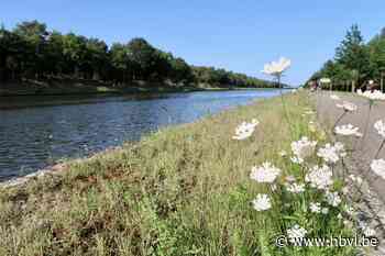 Fietsen langs het water: mooie tocht van 27 km langs kanalen en zandputten in Lommel - Het Belang van Limburg
