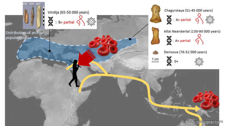 Scientists complete blood group analysis for Neandertal and Denisovan