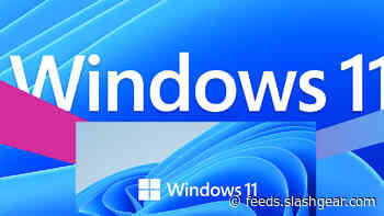 Windows 11 Beta released: How to download and update, and why to wait