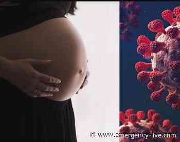 Studio da Modena: le donne in gravidanza si difendono meglio dal Covid - emergency-live.com