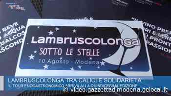 Modena, il 10 agosto torna la Lambruscolonga tra calici e solidarietà - Gazzetta di Modena