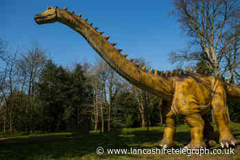 Dino Kingdom roars into the North West with epic display
