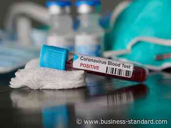 Thailand records all-time high daily coronavirus cases and deaths - Business Standard