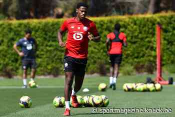 Waarom Jonathan David toch bij Lille blijft - Voetbal internationaal - Sportmagazine - Sportmagazine Voetbal