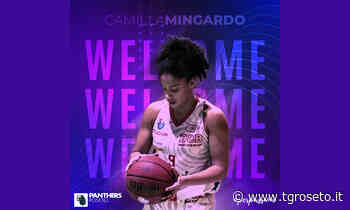 Panthers Roseto, Panthers ingaggiano l'ala Camilla Mingardo - Tg Roseto
