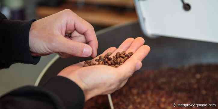 Starbucks is immune to the recent spike in coffee prices thanks to a common yet brilliant business strategy