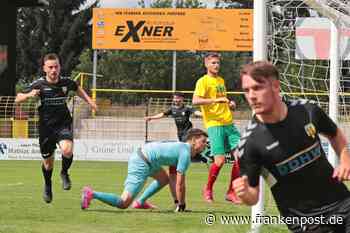 Sieg gegen Bamberg - Hof meldet sich eindrucksvoll zurück - Frankenpost