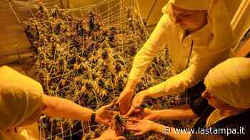 La vocazione è uno spinello: la strana storia delle “monache dell'erba” - La Stampa