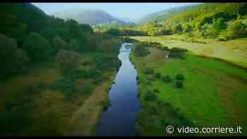 IL PROFUMO DELL'ERBA SELVATICA - Corriere della Sera