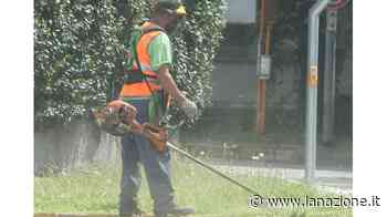 Taglio dell'erba, le nuove date - LA NAZIONE