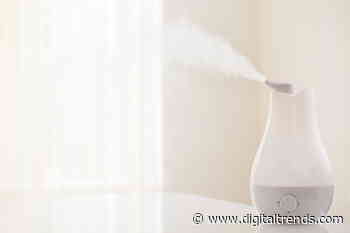 Best cheap humidifier deals for August 2021