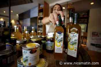 Melons de Thaïlande, label bio bidon... Les astuces pour ne pas se faire avoir par les faux produits du terroir