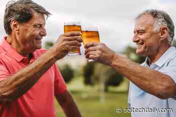 Moderate Alcohol Drinking Associated With Lower Risk of Heart Attack and Death in Those With CVD