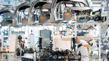 PwC: Jedes sechste Elektroauto von deutschen Herstellern - Salzgitter Zeitung