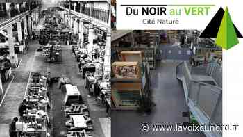 Les lampes de mineurs d'Arras Maxei, un siècle d'industrie avant l'ère de Cité Nature - La Voix du Nord