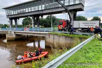 Dode vis drijft op de Dijle: “Gevolg van overstromingen”