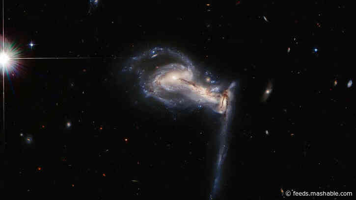 Gravity bends and tugs at dueling galaxies in NASA's vivid new Hubble pic