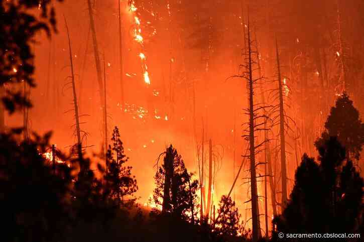 45 Structures Now Destroyed As Dixie Fire Grows To 244,888 Acres