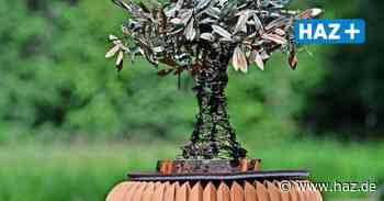 Hemmingen: 50-Kilo-Bonsai aus Gartencenter an der alten B3 gestohlen - Hannoversche Allgemeine