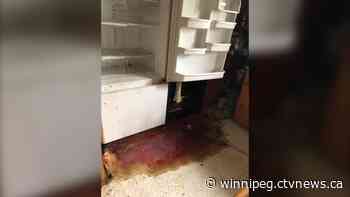 'Millions of flies': Food spoiling in evacuated First Nations creating mess